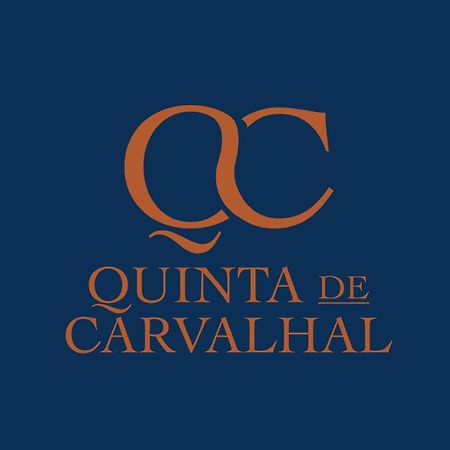 Quinta De Carvalhal - Casa Da Vinha Villa Guimarães Eksteriør billede