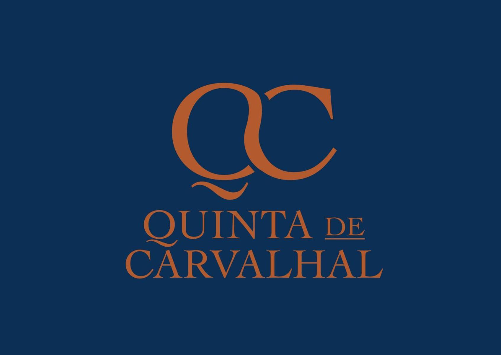 Quinta De Carvalhal - Casa Da Vinha Villa Guimarães Eksteriør billede