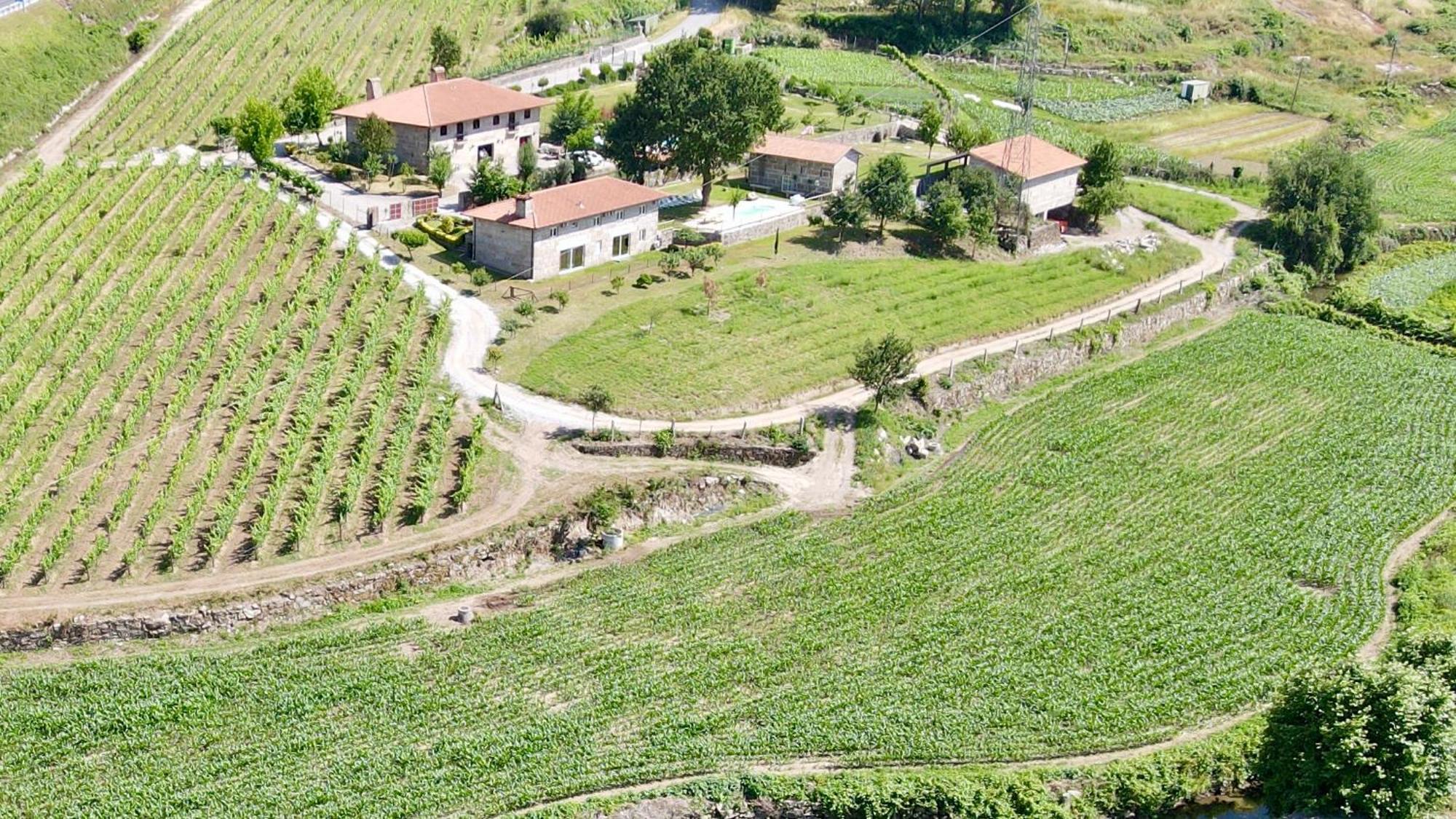 Quinta De Carvalhal - Casa Da Vinha Villa Guimarães Eksteriør billede
